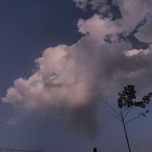 阿拉拍av性别管
