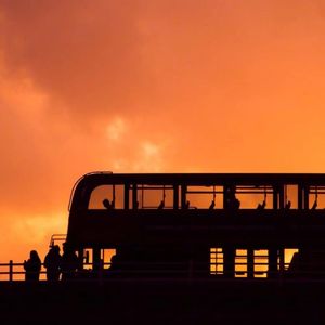 阿拉拍av性别管
