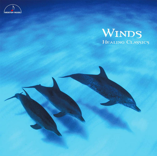 阿拉拍av性别管
